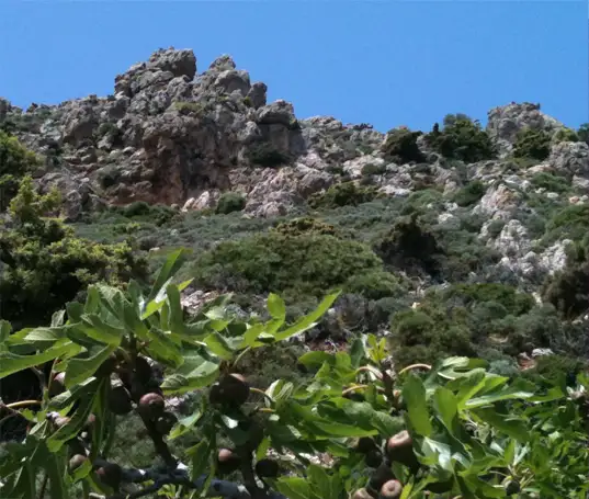 Gebirkskette auf Kreta Gebirkskette auf Kreta